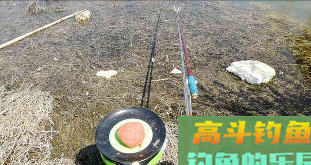都说春季好钓鱼，可每次都是差强人意