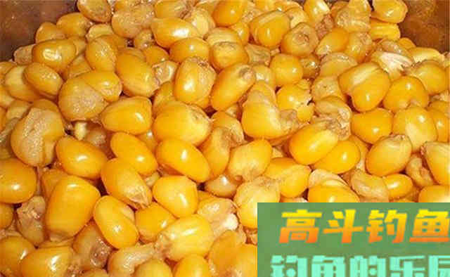 秋天是钓大鱼的好季节，用什么味型的饵料最好