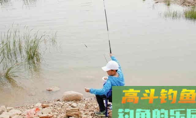 春季水库钓鱼，应该 守 还是 走