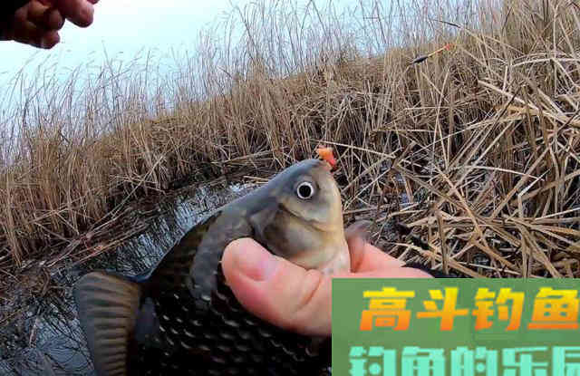 冬季，到荒废池塘垂钓，值得参考的经验