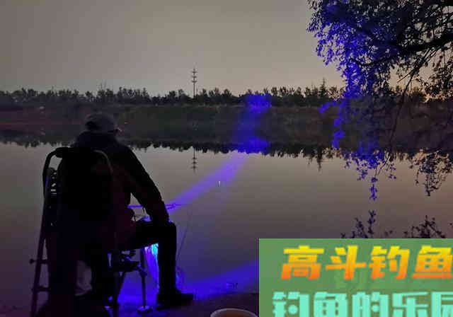 秋季晚上去钓鱼，钓友请牢记6要素