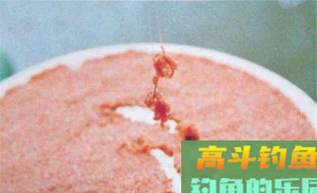 冬季钓鱼，5小5不钓，冬钓爆护不难