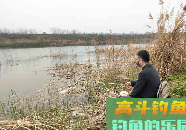 冬季居然是钓鲫鱼的黄金季节，应该钓深还是应该钓浅