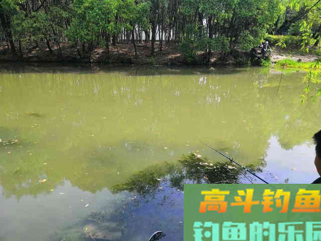 如何在春季昼夜温差大的情况下作钓