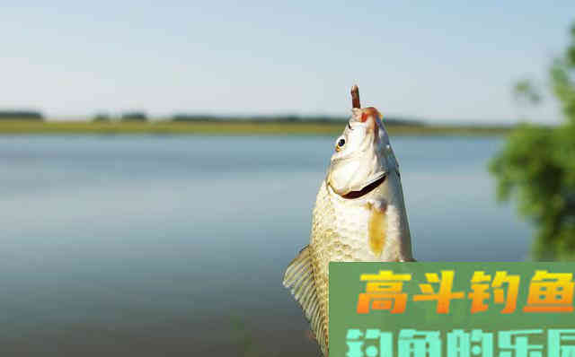 立春后钓鱼，牢记这三点很重要，帮助你初春钓得多
