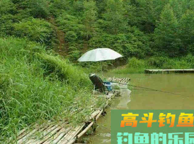 天气转凉要钓深水？不，学会秋钓边，渔获也很不错
