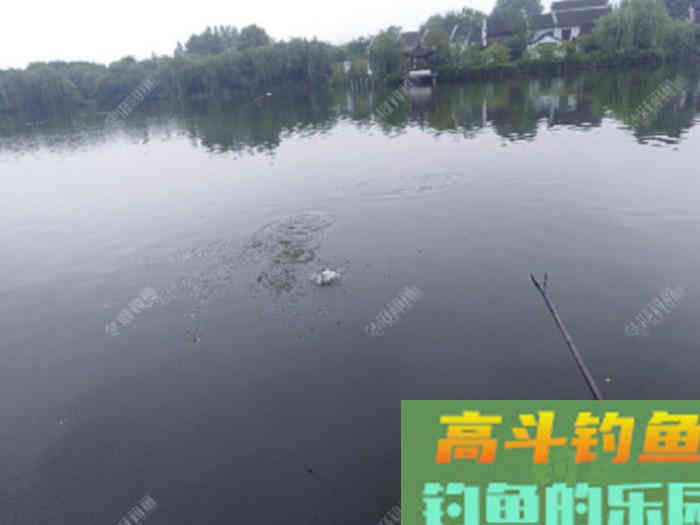 立春到惊蛰，惊蛰到清明等，这段时间钓鱼技巧