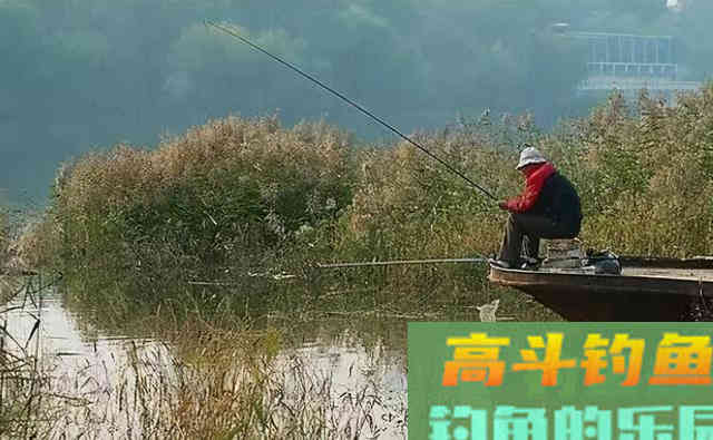 冬天钓鱼选这三个位置，十之八九会打龟