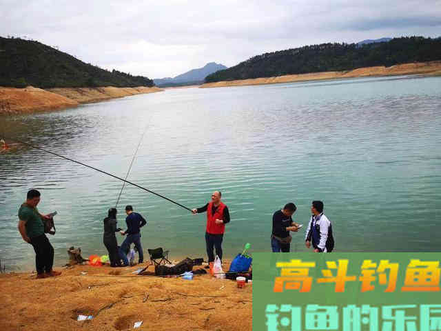 冬天不同天气钓位的选择，掌握后每天都可以钓