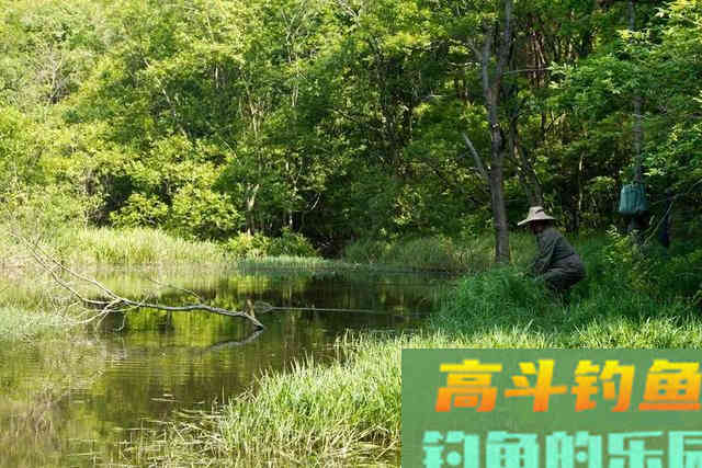 仲春钓鱼，这3点要留意；其中1点，利人利己