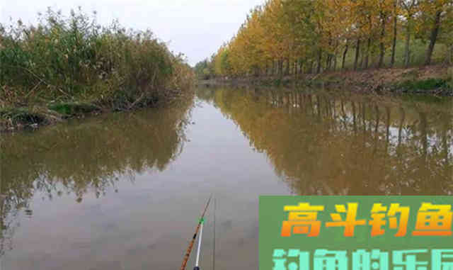冬钓选钓位，就选这四个位置，天气越冷越聚鱼