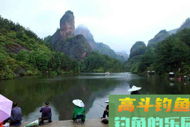 夏天鱼儿比较分散，但这几种天然鱼道比较聚鱼