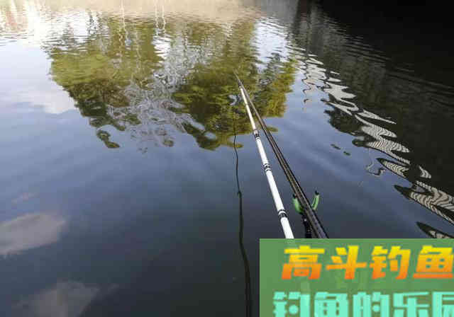 俗话说：春钓滩，但是初春不建议钓浅水，原因有2点