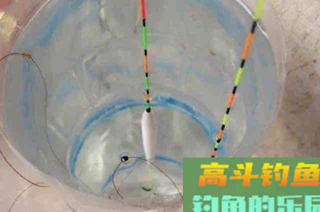 秋钓时，只需牢记这三大灵活，老司机都拍手称赞