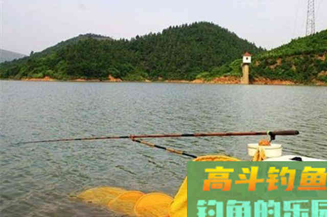 夏天热，我只想用这套一试就灵的钓法