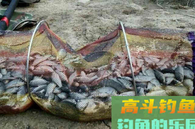 冬钓全靠这调整策略，每次钓完，连老司机都竖大拇指