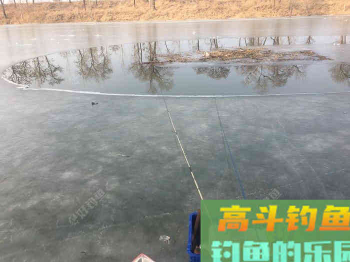 年假隔天钓，鱼获节节高--疫期冬钓总结超长篇