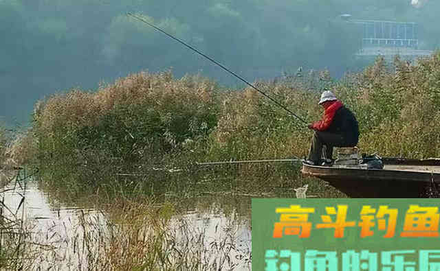 秋季降温后，钓深还是钓浅