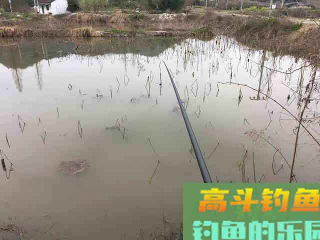 为何别人冬钓连杆，自己鱼口全无