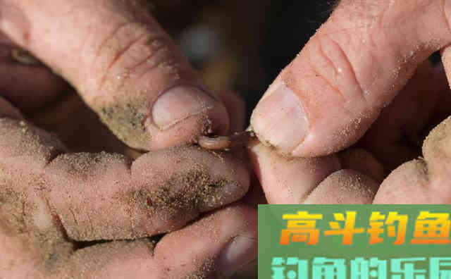 初春、仲春、暮春各不同，跟着节气来钓鱼