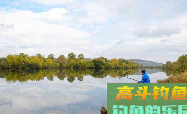秋季你钓不到鱼，多半是这两点没做好