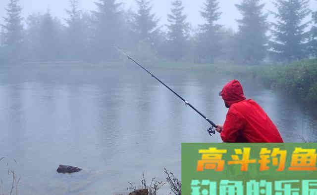 夏季同在一片水域，为什么你钓不到鱼