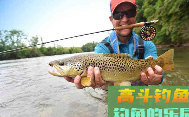 夏季同在一片水域，为什么你钓不到鱼