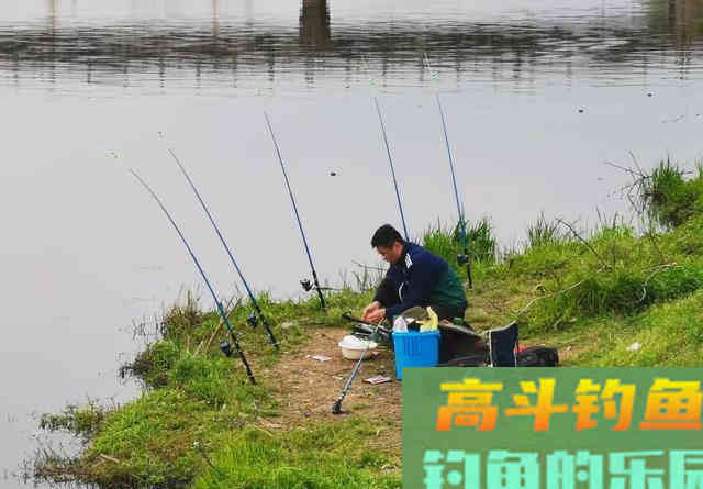 温度越高鱼越难钓？夏季作钓不同于春季