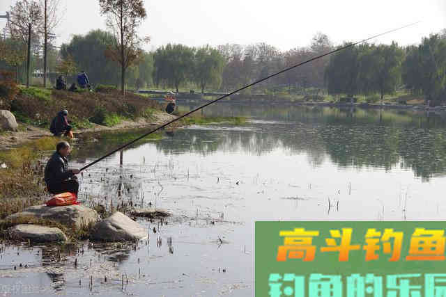 冬天有阳光的天气就好钓鱼？未必！不考虑这2种因素，高手也无奈