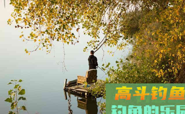 夏季钓鱼5要素，掌握这些钓鱼超级轻松