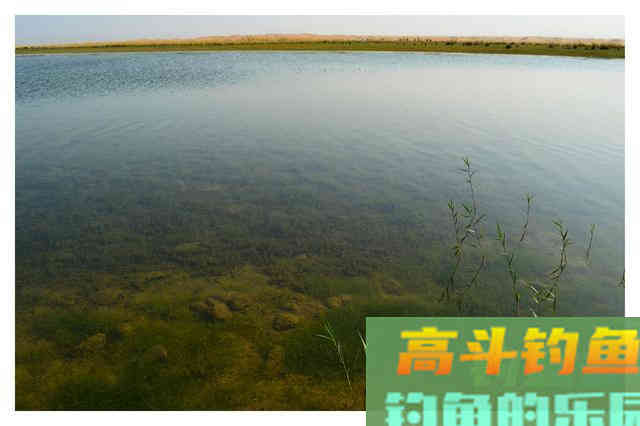仲春钓鱼有3难，不仅是温度高钓浅水，难在鱼情和饵料