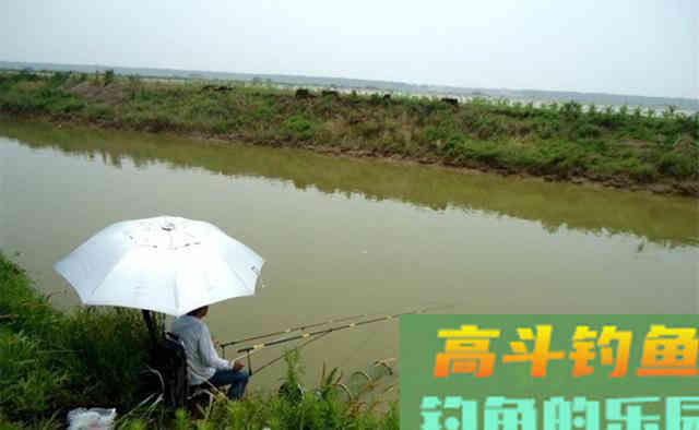 深秋钓鱼，别在这4种钓位下竿