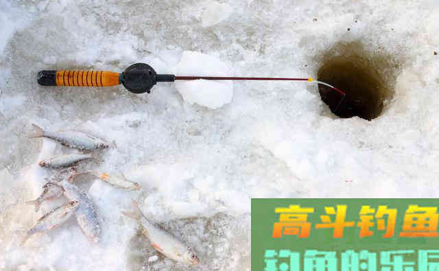 做好冬季钓鱼的关键因素，远比保暖还重要