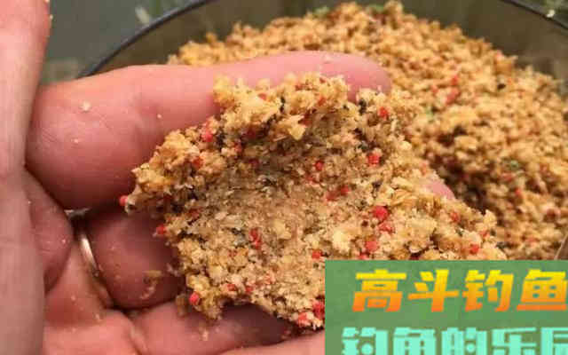 秋天正是钓鱼黄金季，此时你怎么爆护呢