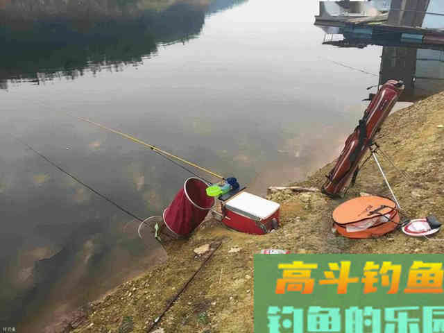 别再说冬钓就要钓深了，除了深水，还有几个钓点