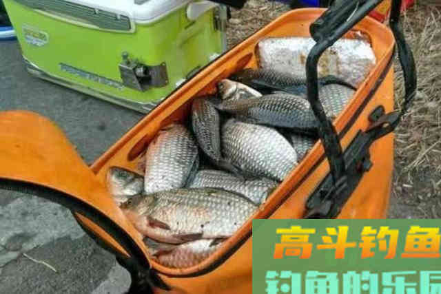 今天才知道，春钓这样诱鱼，既简单又快速