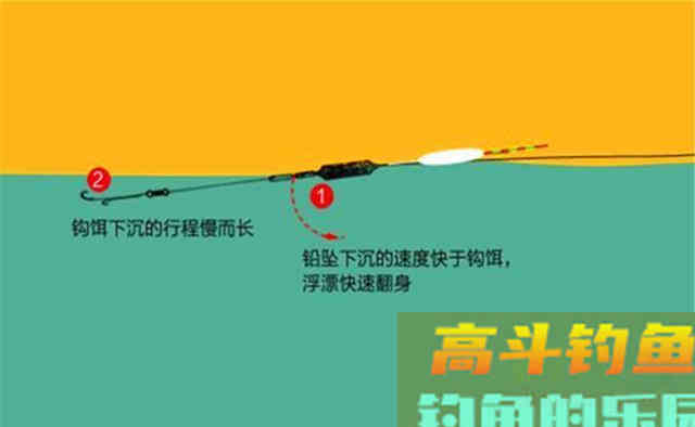 秋末遇上轻口鱼，子线用长的还是用短的好