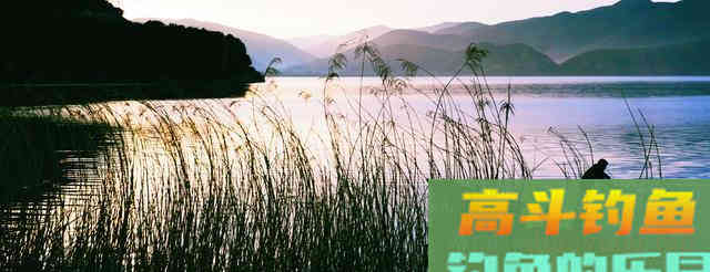 春季钓浅滩，别人连竿你不上鱼，因为钓位不是真浅滩