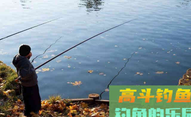 立秋之后，温度下降，四个技巧准确把握鱼情