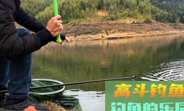 春季水库钓鱼，应该 守 还是 走
