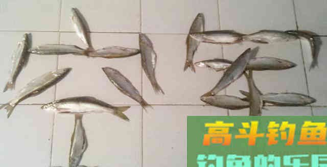 冬钓空军，那是因为她没早做准备