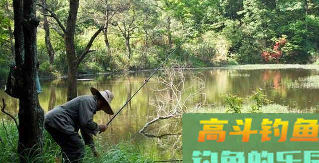 钓了这么多年鱼，才知春钓好天气竟在此时