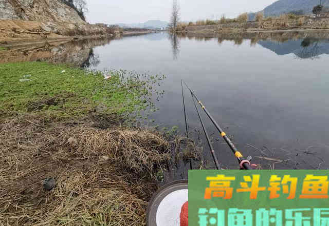 春天钓鱼别光顾着钓浅，有时候还得钓远，实践出真知