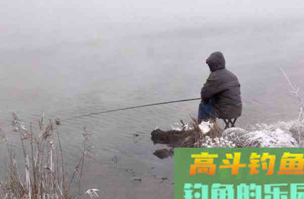 冬天鱼难钓？有人却能爆护，冬季钓鱼最优总结
