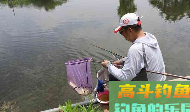 秋季退水后，不解决这个问题，一天都很难钓到鱼