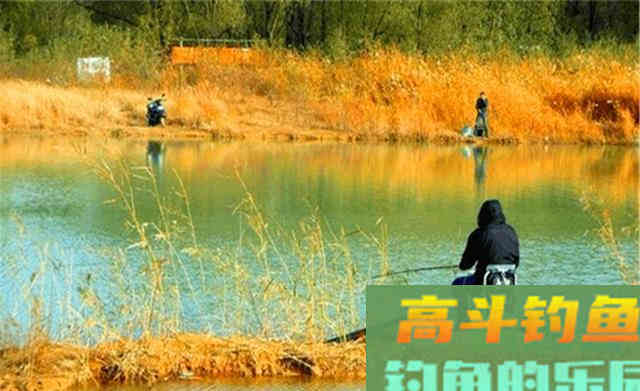 秋季钓鱼，天气不当鱼不开口，钓位不当没鱼咬钩