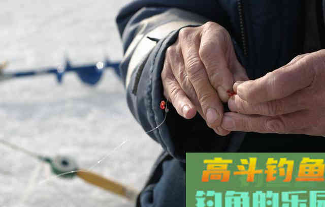 立冬后，台钓和传统钓哪个更香