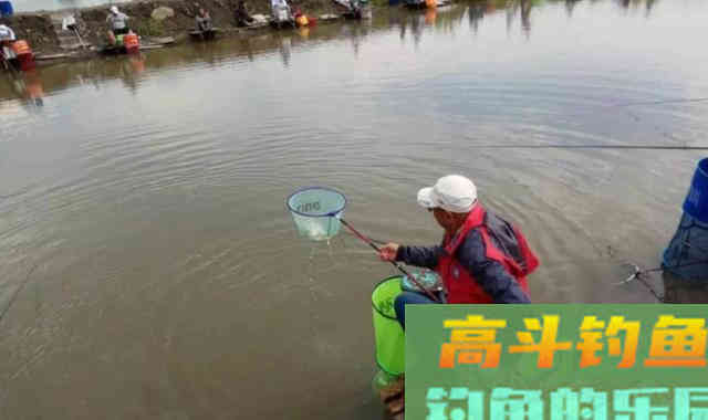 秋天过半，随着温度下降这九种鱼要钓不到了