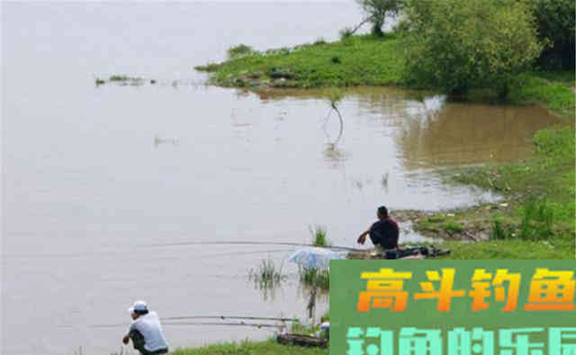 从过了白露开始，选择这4种天气和4种边，爆护太容易