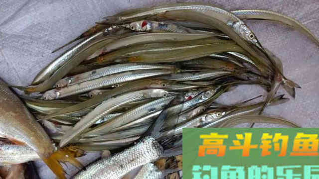 春季钓鱼水底水草多，试试这样钓，简单好用鱼获多，